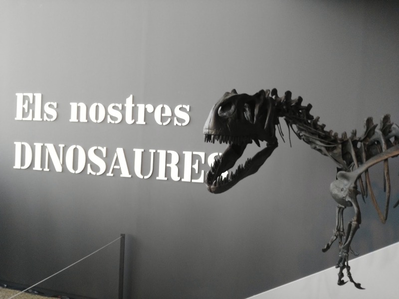 El Museo de las Ciencias de Valencia devuelve al Museo La Salle las piezas utilizadas en la exposición “Els nostres dinosauries”