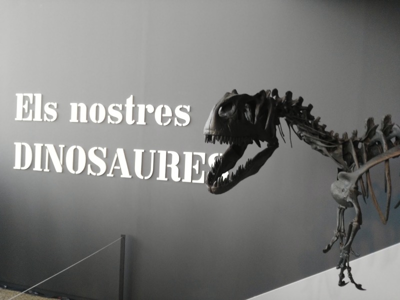 El Museo de las Ciencias de Valencia devuelve al Museo La Salle las piezas utilizadas en la exposición «Els nostres dinosauries»