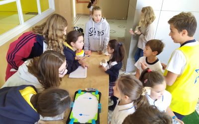 Projecte «Viu el Pati»