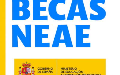 Becas NEAE del Ministerio de Educación curso 2020- 2021