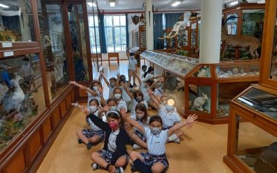 750 alumnos visitan el museo del colegio en una semana