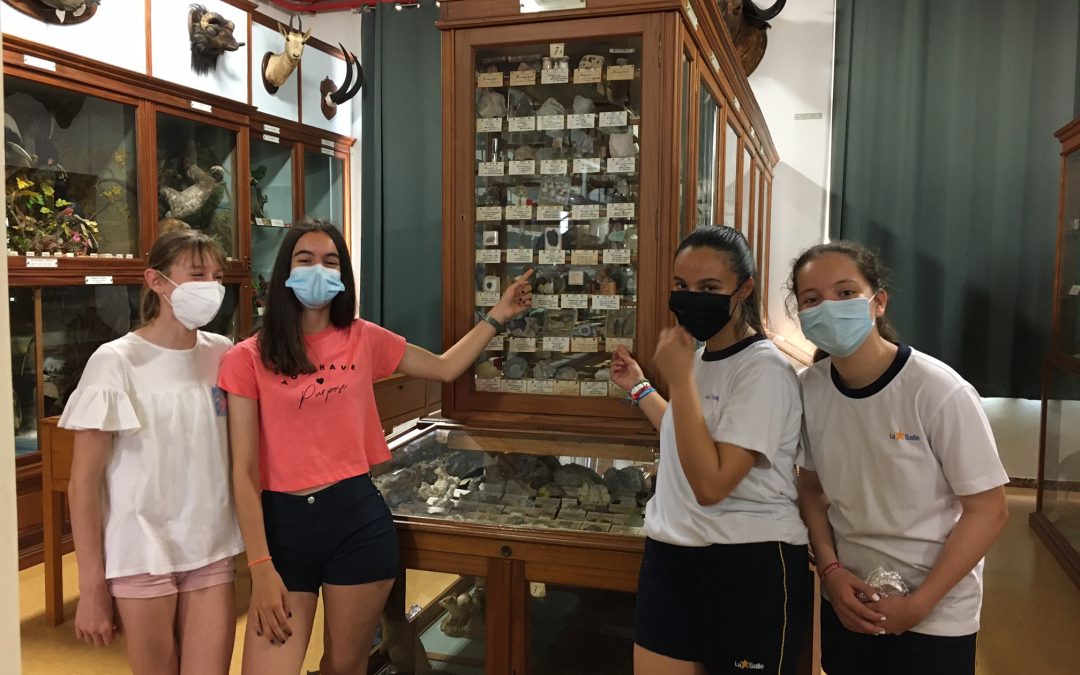 Alumnas de 1º de la ESO  nos descubren pequeños tesoros del museo