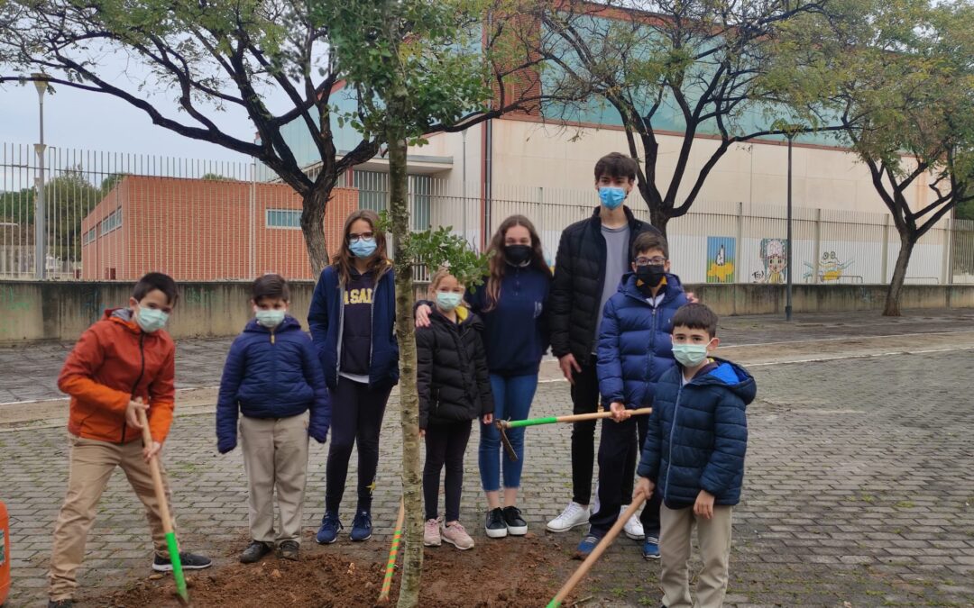 Día del árbol en Paterna