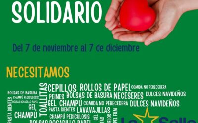 Noviembre Solidario