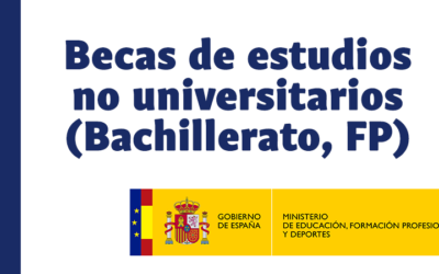 Beca para estudios no universitarios (Bachillerato, Formación Profesional) para el curso 2024-2025