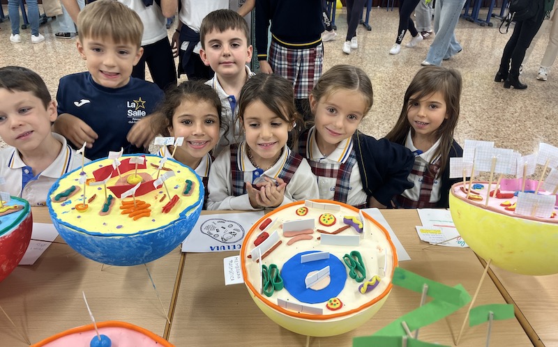 Creatividad e ingenio en la III Feria de la Ciencia de La Salle Paterna
