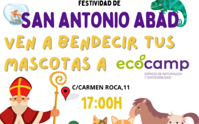 Celebración de San Antonio Abad