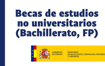 Beca para estudios no universitarios (Bachillerato, Formación Profesional) para el curso 2025-2026