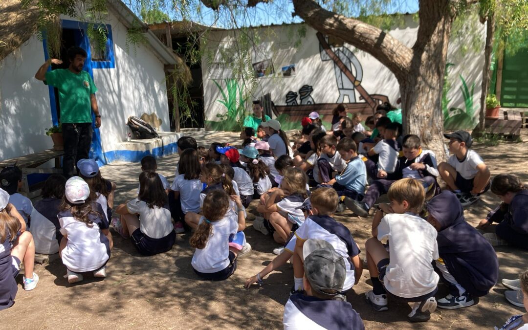 3r Primària a l’Albufera de València