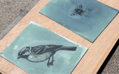 El arte de la cianotipia: una experiencia educativa integral