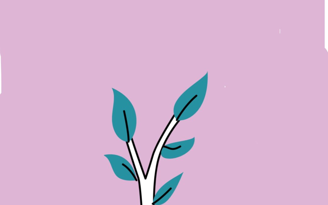 Compromiso con la vida, Adviento 2025